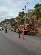 Control a movilizaci&oacute;n y comercializaci&oacute;n de productos forestales maderables y no maderables