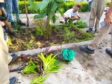 Imagen8 - Natalia Gutierrez