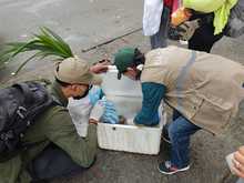 Operativos del Dagma previenen tr&aacute;fico de fauna silvestre