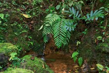 Finca La Carolina, una f&aacute;brica de agua para el futuro 
