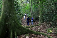 Finca La Carolina, una f&aacute;brica de agua para el futuro 