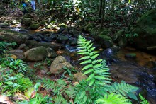 Finca La Carolina, una f&aacute;brica de agua para el futuro 