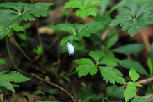 Finca La Carolina, una f&aacute;brica de agua para el futuro 