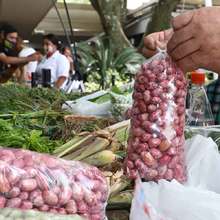 D&iacute;a Mundial de la Alimentaci&oacute;n: gracias productores y campesinos