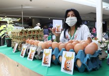 D&iacute;a Mundial de la Alimentaci&oacute;n: gracias productores y campesinos