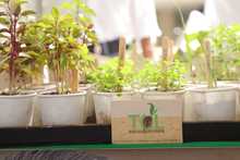 D&iacute;a Mundial de la Alimentaci&oacute;n: gracias productores y campesinos