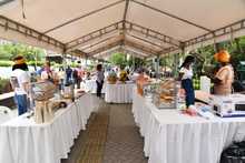 Este fin de semana disfruta "Modelo Somos Todos", un evento en honor a la cultura afro