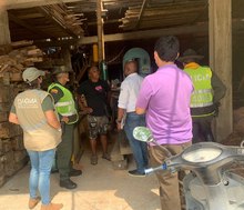 Tres empresas amonestadas por incumplir normas de transporte de productos forestales: DAGMA