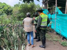 Tres empresas amonestadas por incumplir normas de transporte de productos forestales: DAGMA