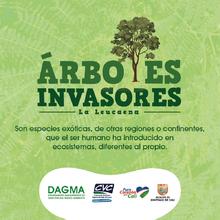 DAGMA realiza control a especies invasoras en corredores verdes 