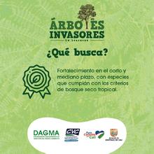 DAGMA realiza control a especies invasoras en corredores verdes 