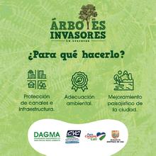 DAGMA realiza control a especies invasoras en corredores verdes 