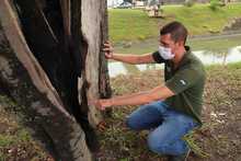 La Avenida Ciudad de Cali tendr&aacute; Intervenci&oacute;n ambiental integral 