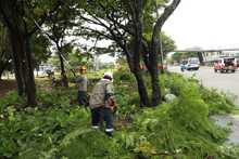 La Avenida Ciudad de Cali tendr&aacute; Intervenci&oacute;n ambiental integral 