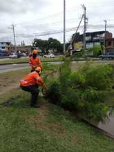 La Avenida Ciudad de Cali tendr&aacute; Intervenci&oacute;n ambiental integral 