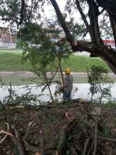 La Avenida Ciudad de Cali tendr&aacute; Intervenci&oacute;n ambiental integral 