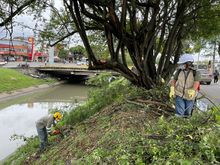 La Avenida Ciudad de Cali tendr&aacute; Intervenci&oacute;n ambiental integral 