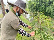 La Avenida Ciudad de Cali tendr&aacute; Intervenci&oacute;n ambiental integral 