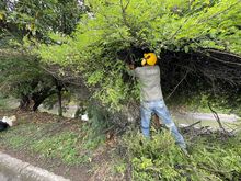 La Avenida Ciudad de Cali tendr&aacute; Intervenci&oacute;n ambiental integral 