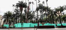 Te Queremos Cali con una Plaza de Cayzedo m&aacute;s verde 