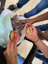 Turismo al Barrio levanta vuelo con talleres creativos 