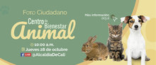 bienestar animal_HomeWeb