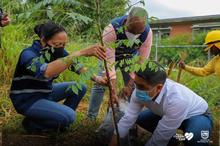 Te queremos Cali inici&oacute; la siembra de &aacute;rboles frutales en los planteles educativos distritales