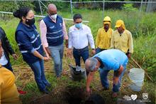 Te queremos Cali inici&oacute; la siembra de &aacute;rboles frutales en los planteles educativos distritales