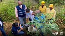 Te queremos Cali inici&oacute; la siembra de &aacute;rboles frutales en los planteles educativos distritales