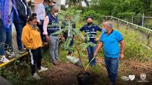 Te queremos Cali inici&oacute; la siembra de &aacute;rboles frutales en los planteles educativos distritales