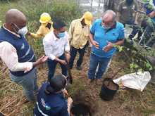 Sembramos vida en las instituciones educativas con mil &aacute;rboles frutales