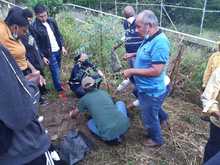 Sembramos vida en las instituciones educativas con mil &aacute;rboles frutales