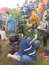 Sembramos vida en las instituciones educativas con mil &aacute;rboles frutales