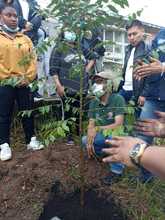 Sembramos vida en las instituciones educativas con mil &aacute;rboles frutales