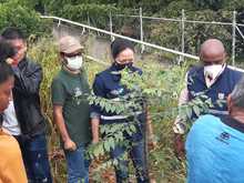Sembramos vida en las instituciones educativas con mil &aacute;rboles frutales