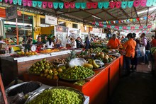 Discovery Channel y su nuevo programa "Cosechando Sabores" llega a la galer&iacute;a Alameda