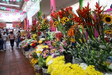 Discovery Channel y su nuevo programa "Cosechando Sabores" llega a la galer&iacute;a Alameda