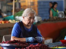 Discovery Channel y su nuevo programa "Cosechando Sabores" llega a la galer&iacute;a Alameda