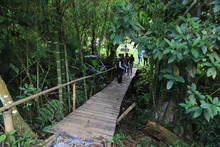 Preservando el bosque se garantiza la vida