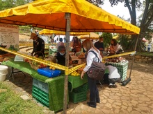 Camina San Antonio, una jornada llena de magia 