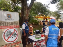 Camina San Antonio, una jornada llena de magia 