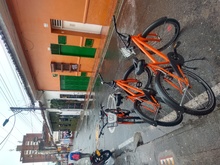 Camina San Antonio, una jornada llena de magia 