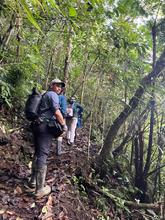 Cali actualiza su censo urbano de aves  