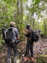 Cali actualiza su censo urbano de aves  