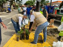Control al arrojo clandestino de residuos en v&iacute;a publica  