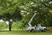 d051e349-9582-4075-bedb-b19007366866 - Laura Pelaez Alvarez