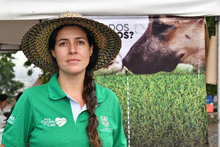 Inician en Cali brigadas de salud y bienestar para animales de compa&ntilde;&iacute;a
