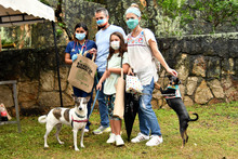 Inician en Cali brigadas de salud y bienestar para animales de compa&ntilde;&iacute;a