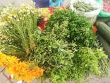 Los &lsquo;Mercados Campesinos&rsquo; contin&uacute;an llenando de salud y bienestar a cale&ntilde;os y cale&ntilde;as