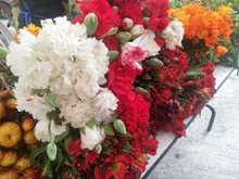 Los &lsquo;Mercados Campesinos&rsquo; contin&uacute;an llenando de salud y bienestar a cale&ntilde;os y cale&ntilde;as